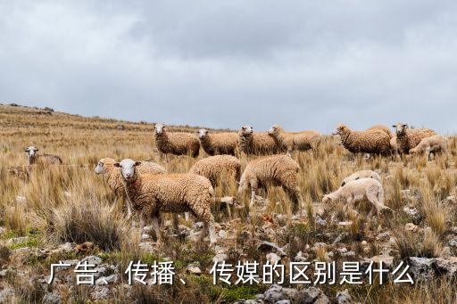  廣告、傳播、 傳媒的區(qū)別是什么
