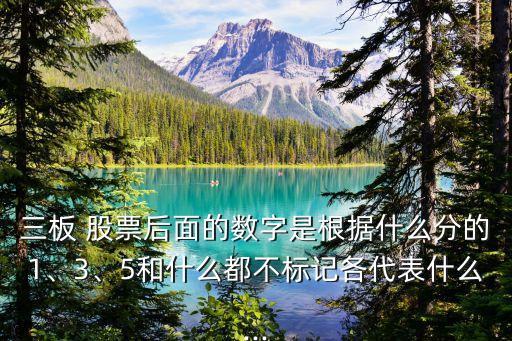 三板 股票后面的數(shù)字是根據(jù)什么分的1、3、5和什么都不標記各代表什么...