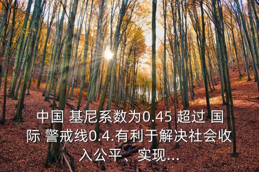 中國 基尼系數(shù)為0.45 超過 國際 警戒線0.4.有利于解決社會(huì)收入公平、實(shí)現(xiàn)...