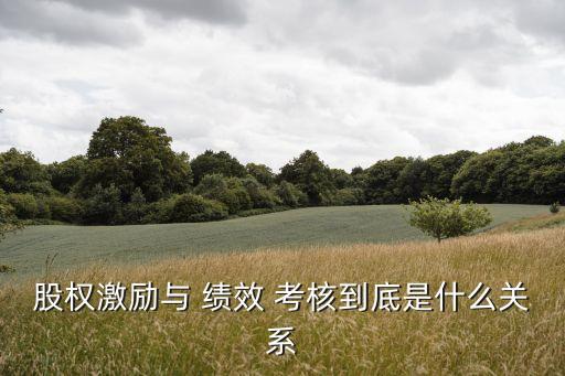 股權(quán)激勵與 績效 考核到底是什么關系