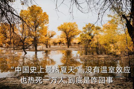 “中國(guó)史上最熱夏天”,沒有溫室效應(yīng)也熱死一萬人,到底是咋回事