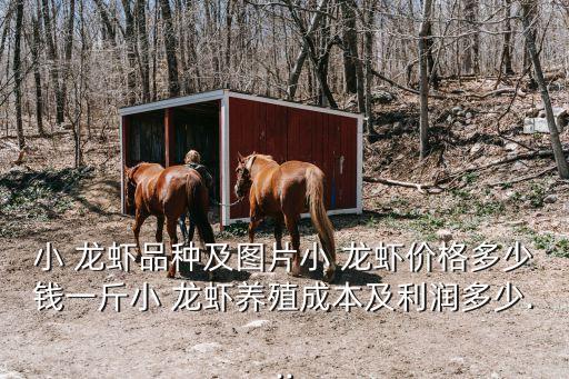 小 龍蝦品種及圖片小 龍蝦價(jià)格多少錢(qián)一斤小 龍蝦養(yǎng)殖成本及利潤(rùn)多少...