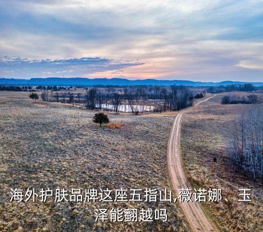 海外護膚品牌這座五指山,薇諾娜、玉澤能翻越嗎
