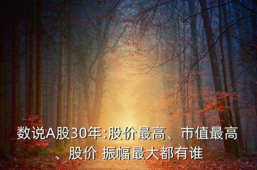 數(shù)說(shuō)A股30年:股價(jià)最高、市值最高、股價(jià) 振幅最大都有誰(shuí)