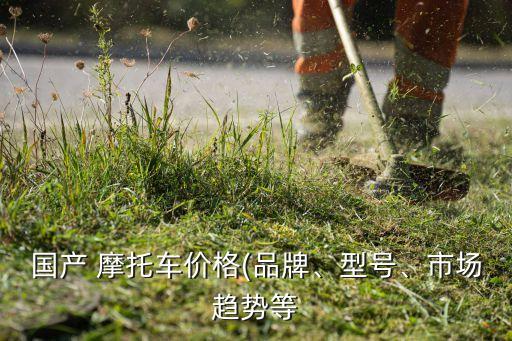 國產(chǎn) 摩托車價格(品牌、型號、市場趨勢等