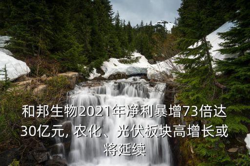 和邦生物2021年凈利暴增73倍達30億元, 農(nóng)化、光伏板塊高增長或將延續(xù)