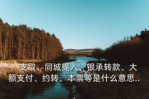 ...支取、同城提入、銀承轉(zhuǎn)款、大額支付、約轉(zhuǎn)、本票等是什么意思...