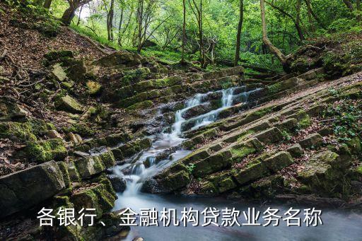 各銀行、金融機構(gòu)貸款業(yè)務(wù)名稱