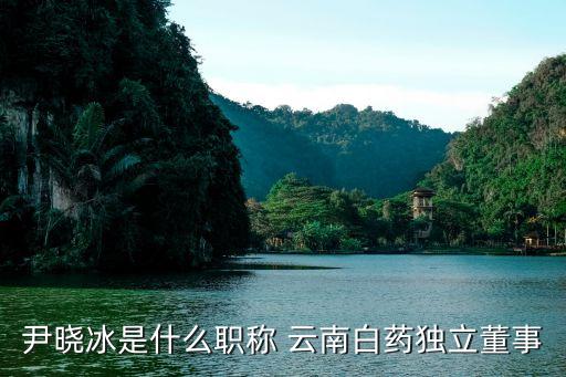 尹曉冰是什么職稱 云南白藥獨(dú)立董事