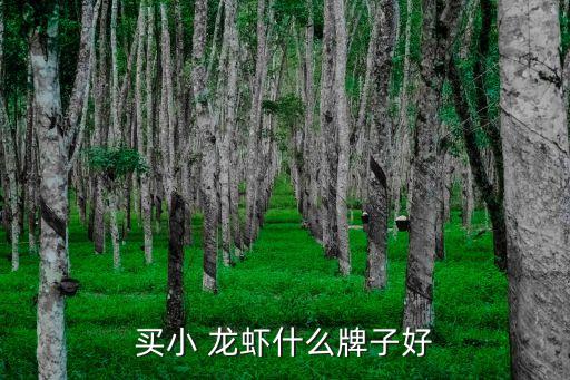 買(mǎi)小 龍蝦什么牌子好