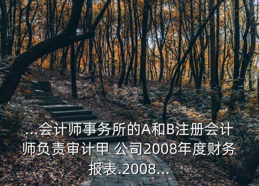...會計師事務(wù)所的A和B注冊會計師負責(zé)審計甲 公司2008年度財務(wù)報表.2008...
