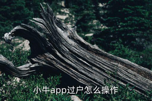 小牛app過(guò)戶(hù)怎么操作