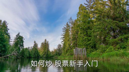 如何炒 股票新手入門(mén)