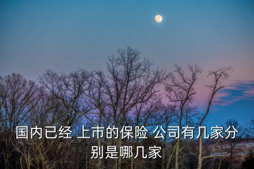 國內已經 上市的保險 公司有幾家分別是哪幾家