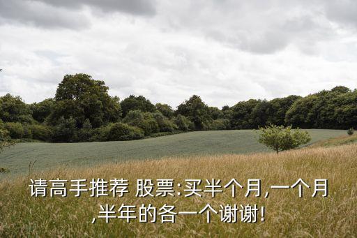 請高手推薦 股票:買半個(gè)月,一個(gè)月,半年的各一個(gè)謝謝!