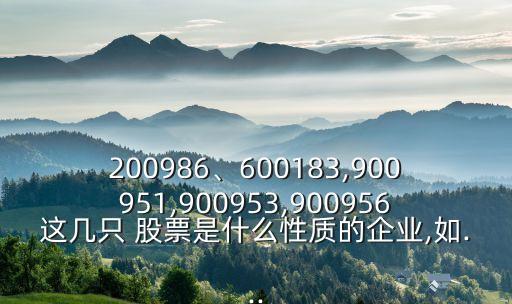 200986、600183,900951,900953,900956這幾只 股票是什么性質(zhì)的企業(yè),如...