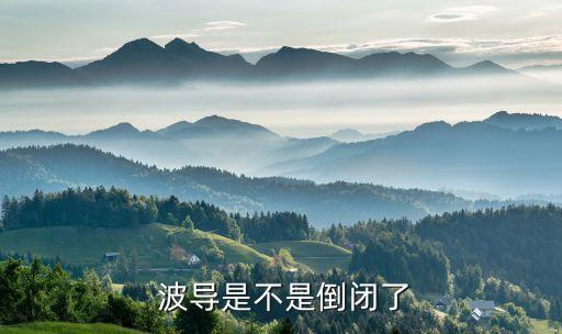 奉化波導(dǎo)股份有限公司,波導(dǎo)科技集團股份有限公司
