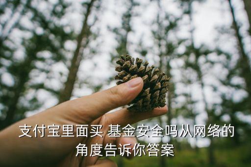 網上支付主題基金