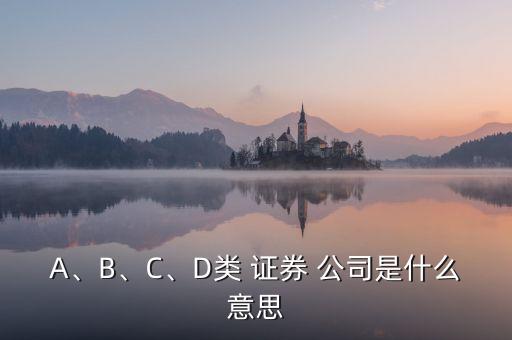 A、B、C、D類 證券 公司是什么意思