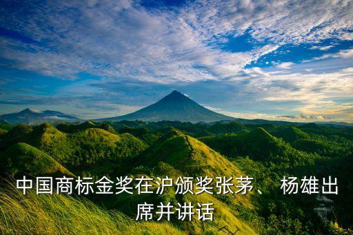 中國商標(biāo)金獎(jiǎng)在滬頒獎(jiǎng)張茅、 楊雄出席并講話