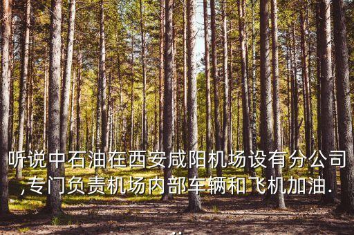 聽(tīng)說(shuō)中石油在西安咸陽(yáng)機(jī)場(chǎng)設(shè)有分公司,專門負(fù)責(zé)機(jī)場(chǎng)內(nèi)部車輛和飛機(jī)加油...