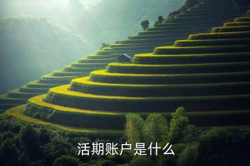  活期賬戶(hù)是什么