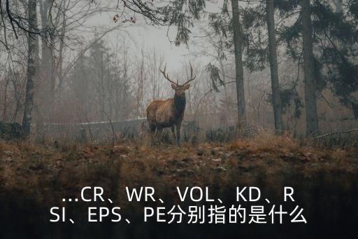 ...CR、WR、VOL、KD、RSI、EPS、PE分別指的是什么