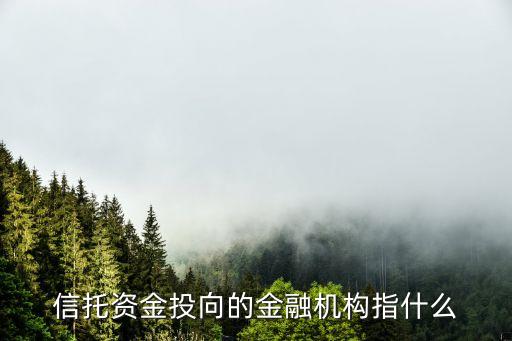 信托資金投向的金融機構指什么