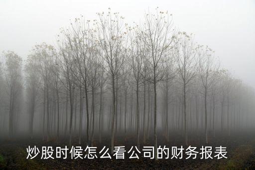 炒股時候怎么看公司的財務報表