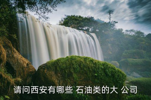 請(qǐng)問(wèn)西安有哪些 石油類的大 公司