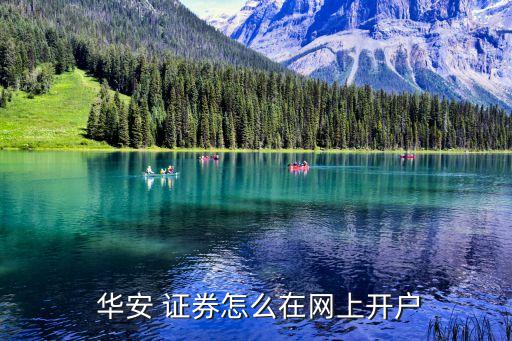  華安 證券怎么在網(wǎng)上開戶