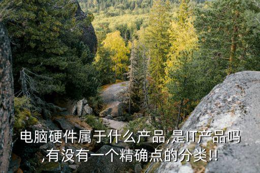 電腦硬件屬于什么產(chǎn)品,是IT產(chǎn)品嗎,有沒有一個(gè)精確點(diǎn)的分類!!