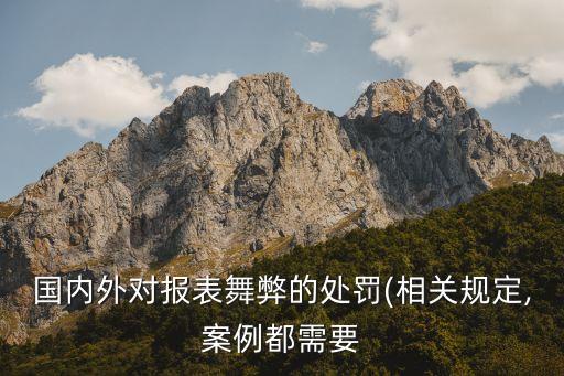 西安達(dá)爾曼實(shí)業(yè)股份有限公司年報