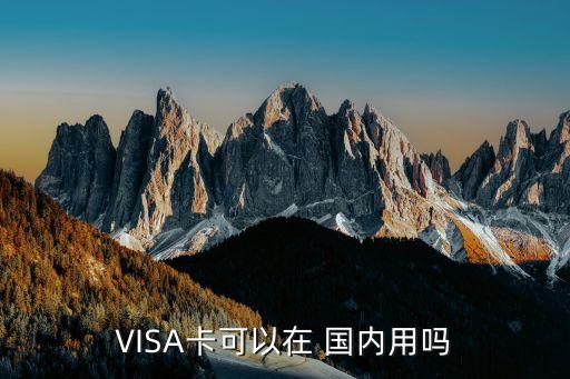 VISA卡可以在 國內用嗎
