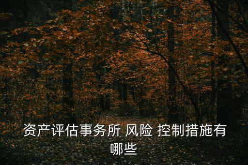  資產(chǎn)評估事務(wù)所 風險 控制措施有哪些
