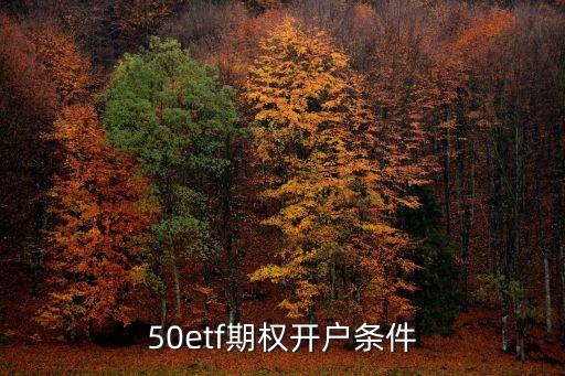 50etf期權(quán)開(kāi)戶(hù)條件