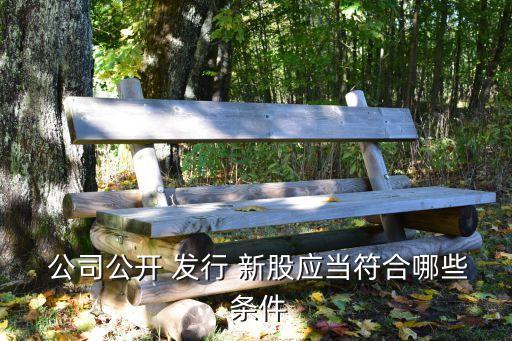  公司公開 發(fā)行 新股應(yīng)當符合哪些 條件