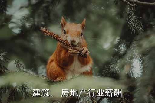建筑、 房地產(chǎn)行業(yè)薪酬