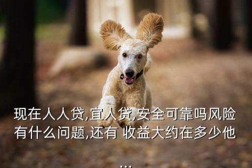 現(xiàn)在人人貸,宜人貸,安全可靠嗎風險有什么問題,還有 收益大約在多少他...
