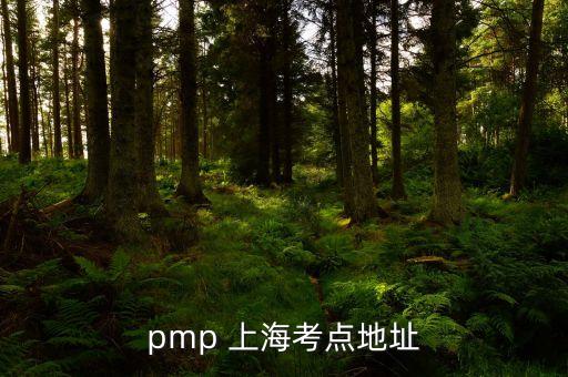 pmp 上?？键c(diǎn)地址