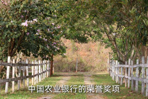 中國農(nóng)業(yè)銀行的榮譽(yù)獎項(xiàng)