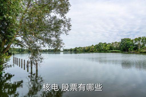 天沃科技非公開(kāi)發(fā)行股票,露笑科技非公開(kāi)發(fā)行股票價(jià)格