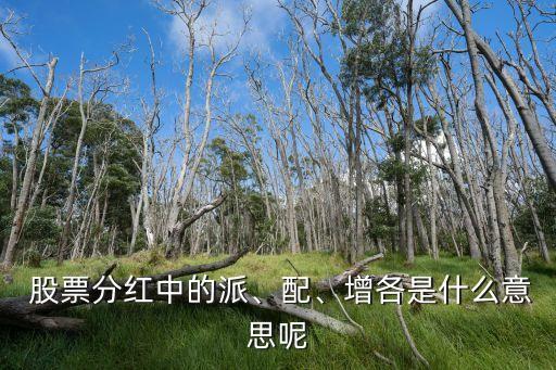  股票分紅中的派、配、增各是什么意思呢