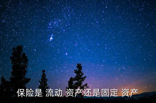 保險(xiǎn)公司流動資產(chǎn)包括