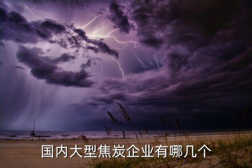 國內大型焦炭企業(yè)有哪幾個