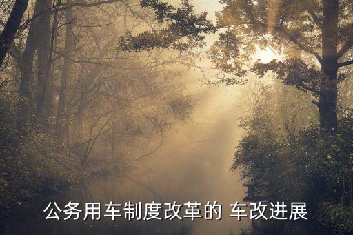 公務(wù)用車(chē)制度改革的 車(chē)改進(jìn)展