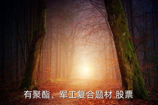 有聚酯、軍工復(fù)合題材 股票
