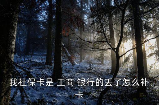 我社?？ㄊ?工商 銀行的丟了怎么補(bǔ)卡