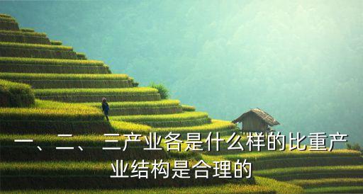 一、二、 三產(chǎn)業(yè)各是什么樣的比重產(chǎn)業(yè)結(jié)構(gòu)是合理的