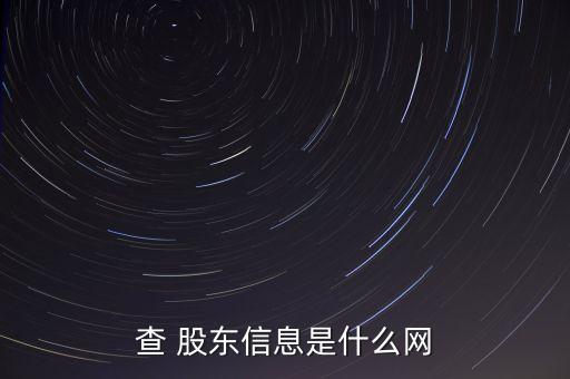 查 股東信息是什么網